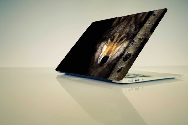 Wolf Face Design Laptop Sticker/Skin Decal|Printed on, Scratchproof, Water Resistant, Easy to Apply Laptop Skin Compatible for all types of laptops